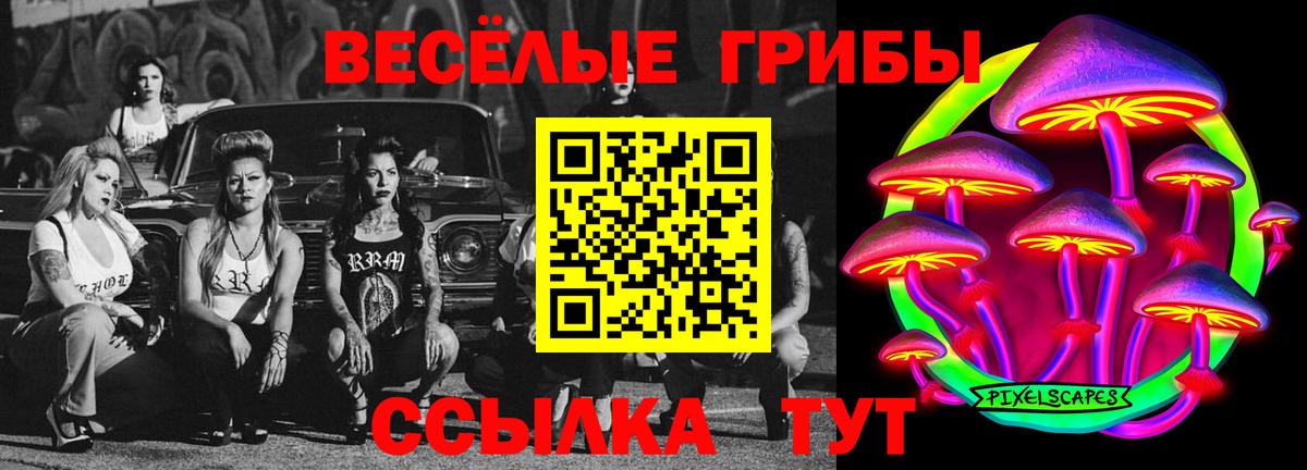 Галлюциногенные грибы Magic Shrooms Магадан